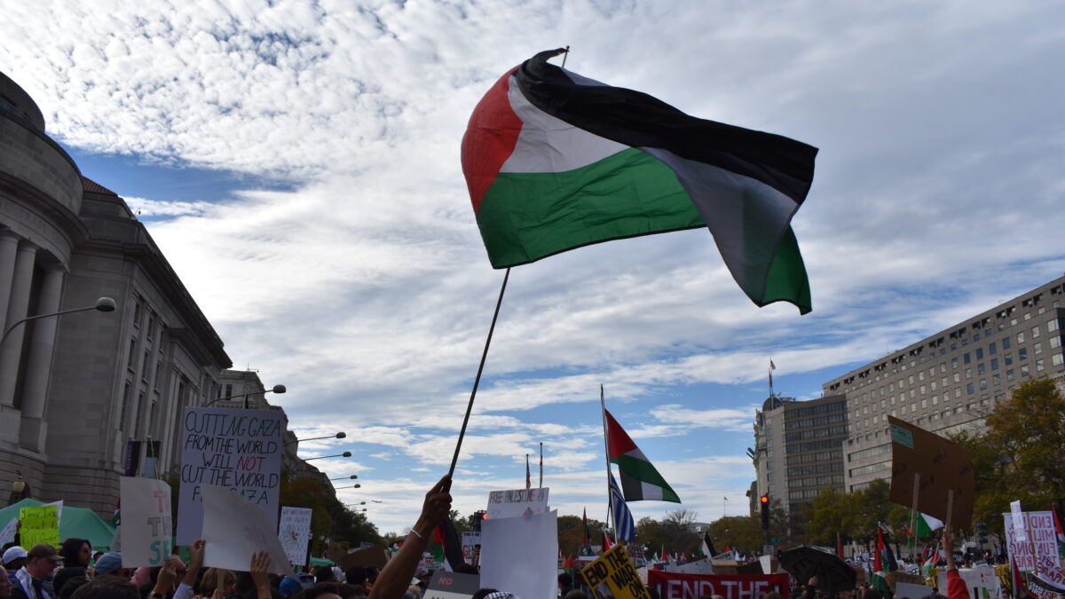 Free Palestine protesters wave flags