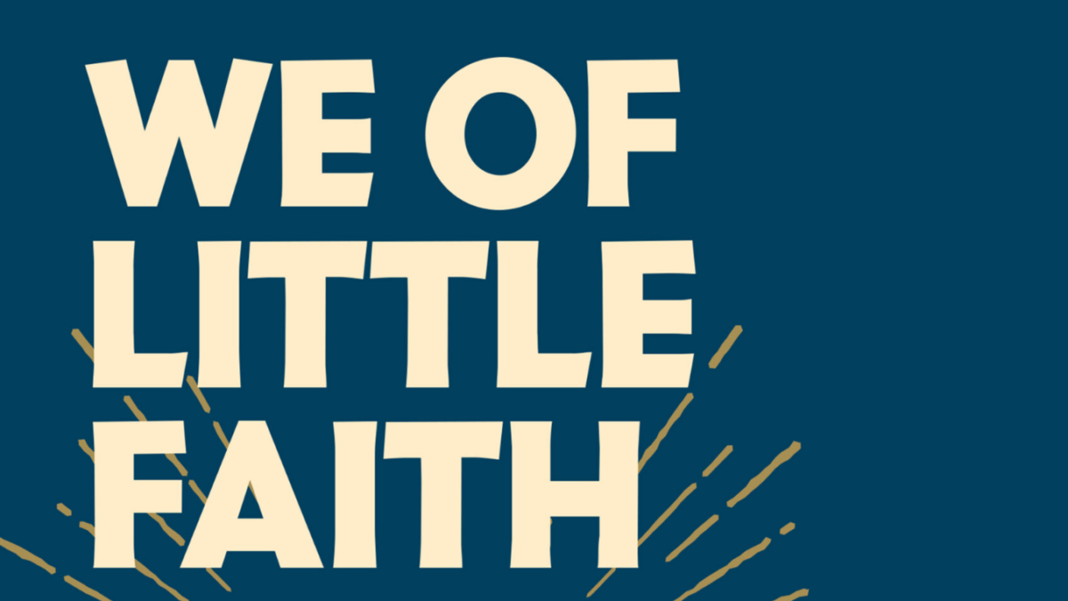 book cover of "We of Little Faith"