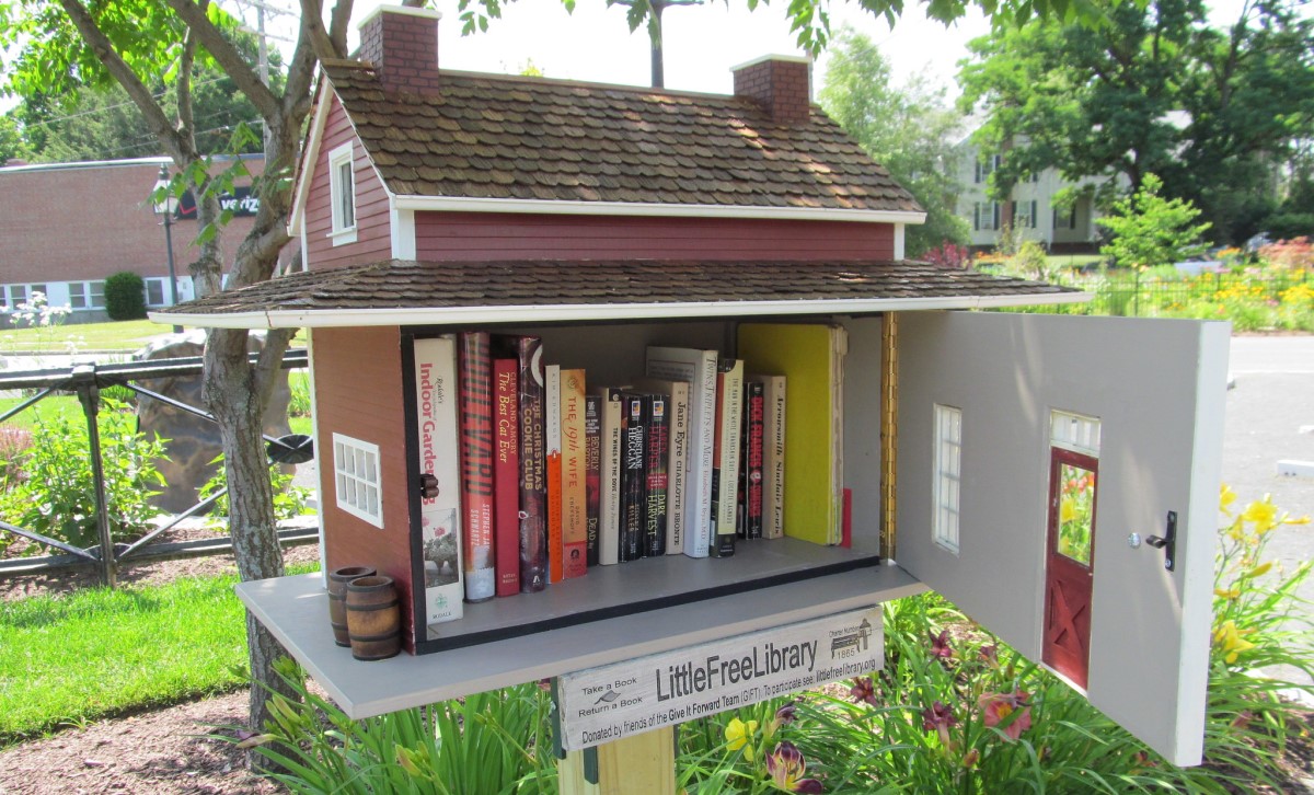 Queer activists place explicit books in Little Free Libraries