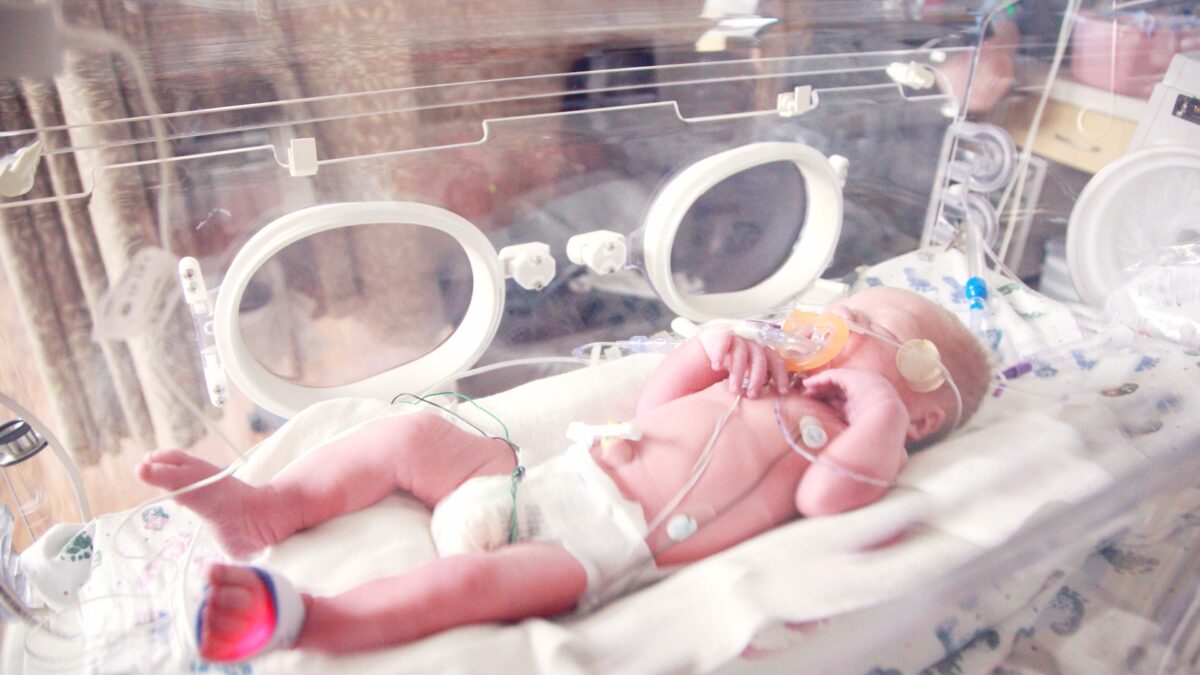 newborn baby lying in incubator