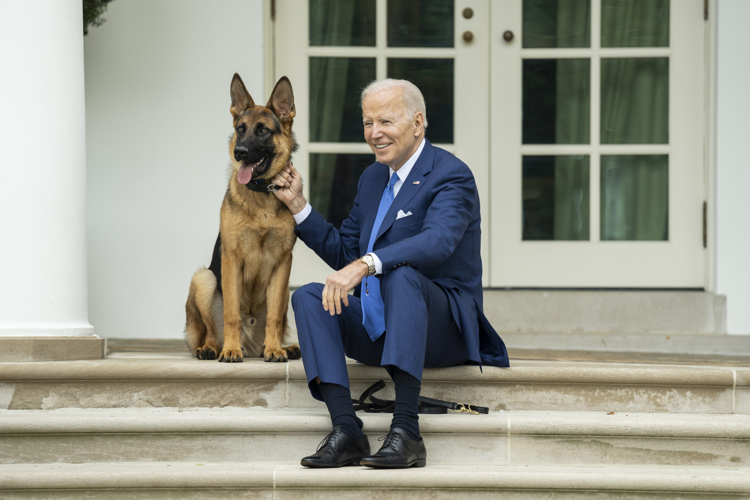 Time to euthanize the Biden family pet