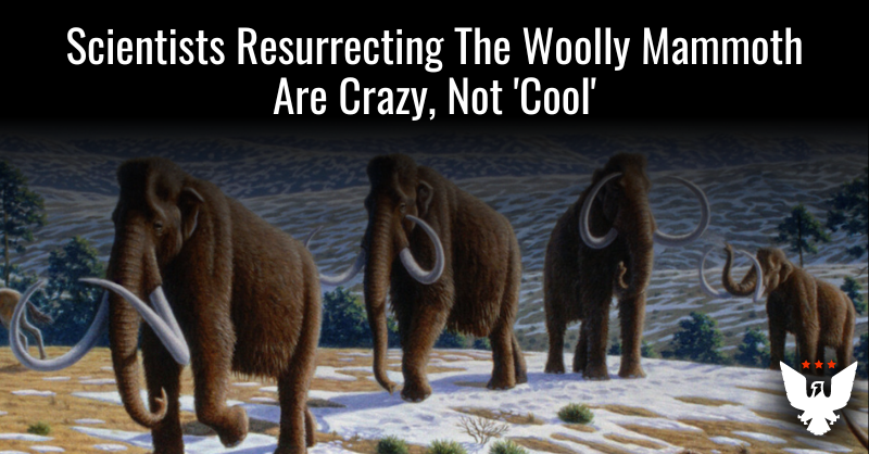 Scientists Resurrecting The Woolly Mammoth Are Crazy, Not 'Cool' - Vimarsana News