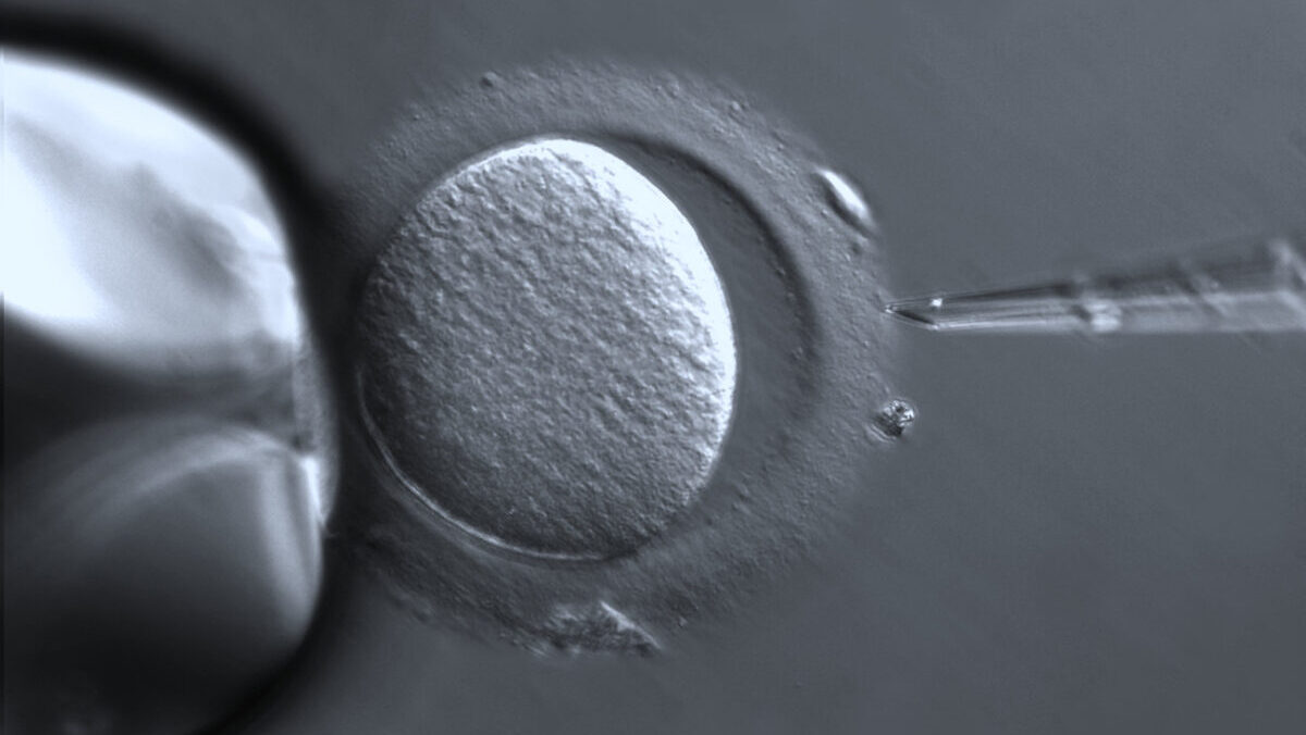 microscopic image of IVF