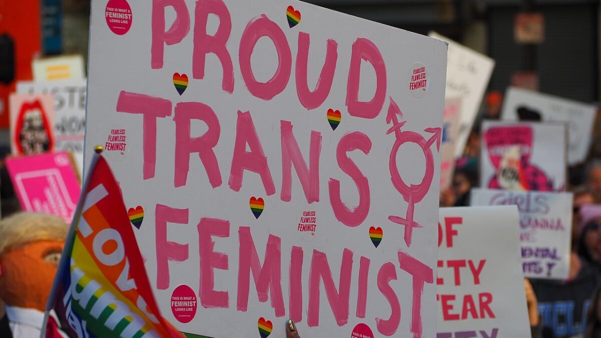 sign reading proud trans feminist