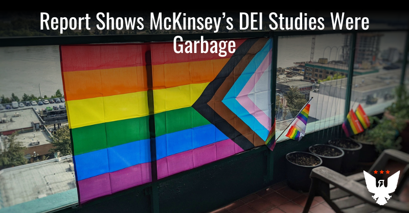 Report Shows McKinsey's DEI Studies Were Garbage - Vimarsana News