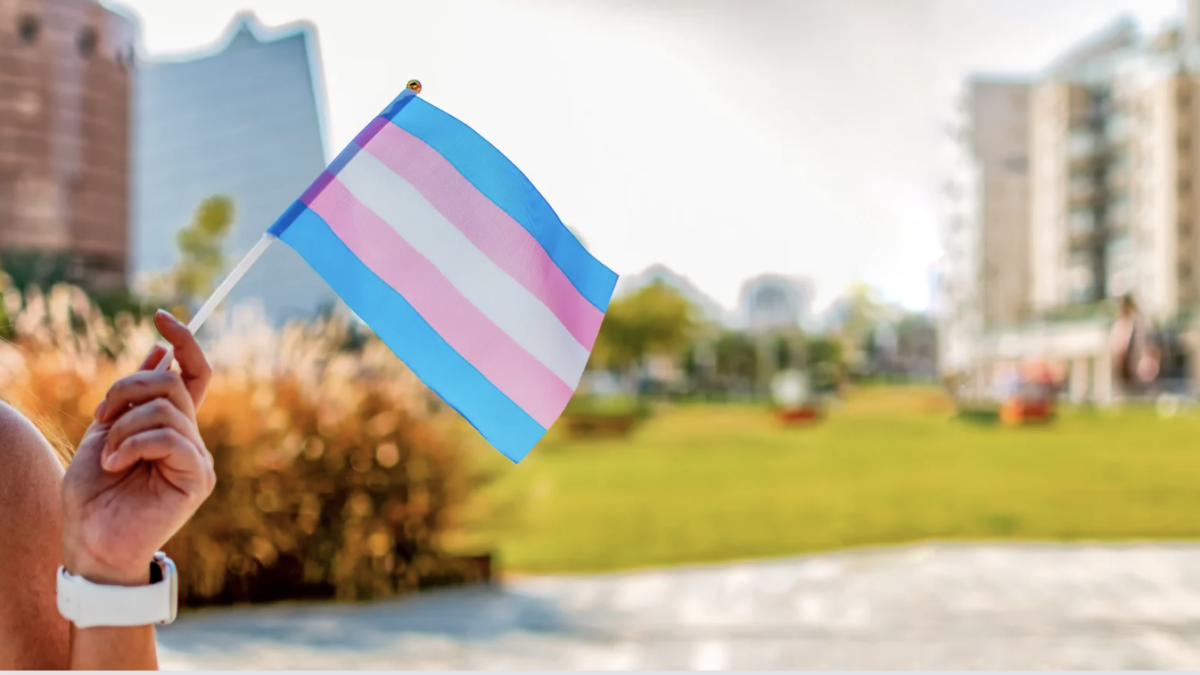 person holding trans flag with cityscape in background