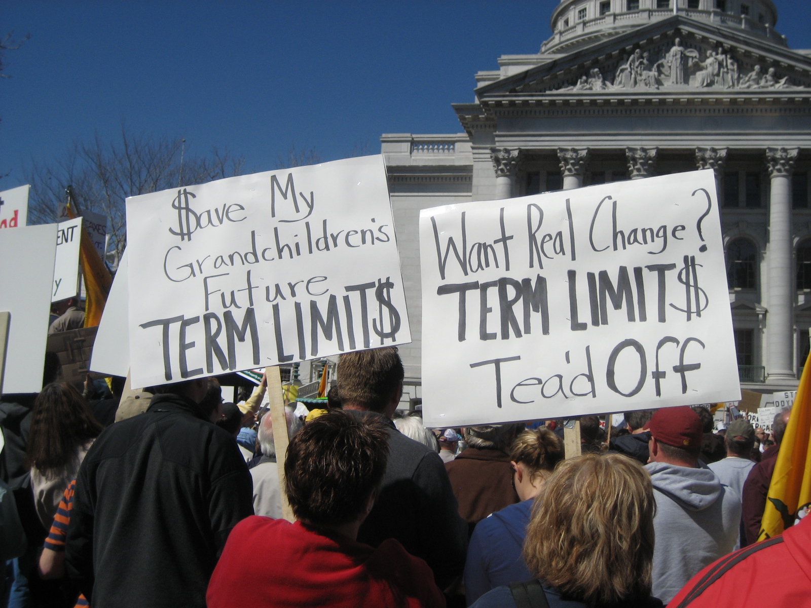 The Downsides of Term Limits