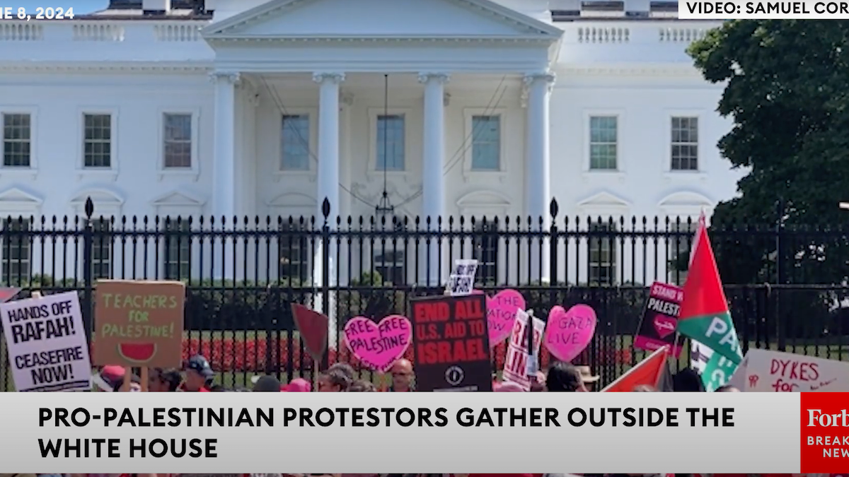 Pro-Hamas protests outside the White House