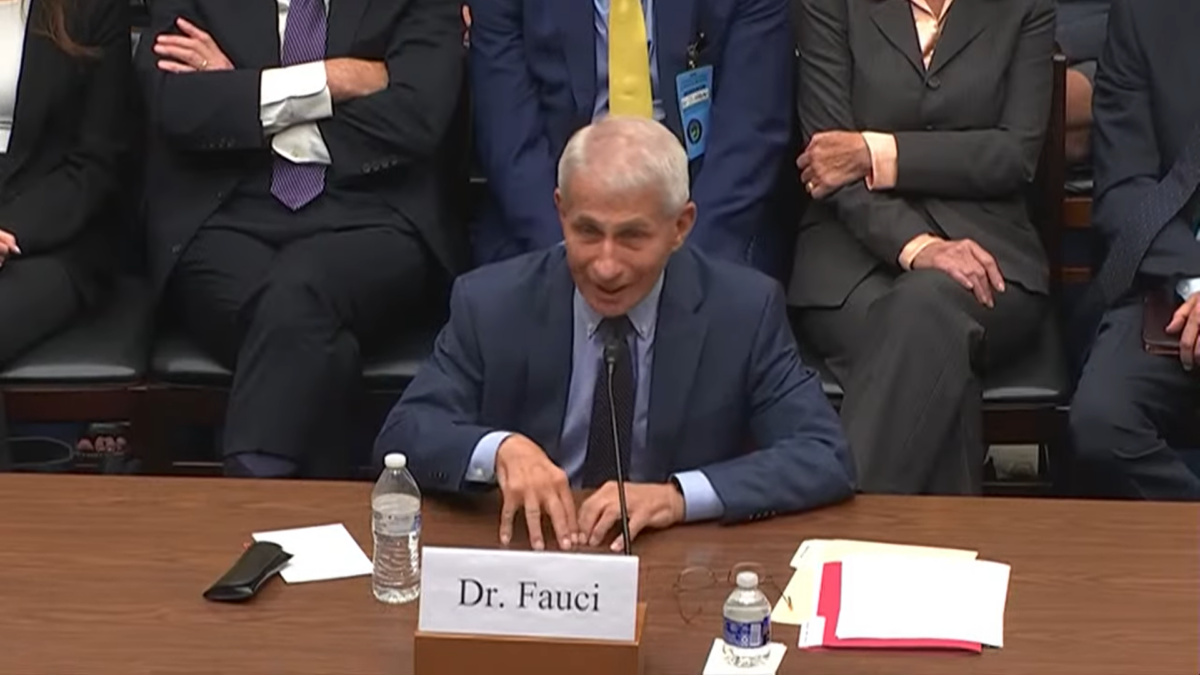 Anthony Fauci gives testimony to House subcommittee