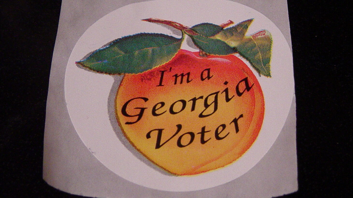 How Far Can You Get In GA Elections With No ID But A Utility Bill?