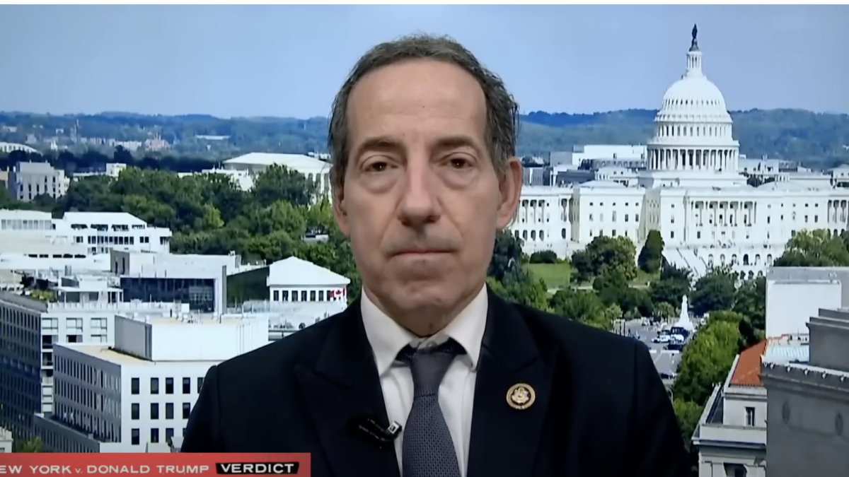 U.S. Rep. Jamie Raskin, D-M.d., speaks to a left-leaning media outlet.