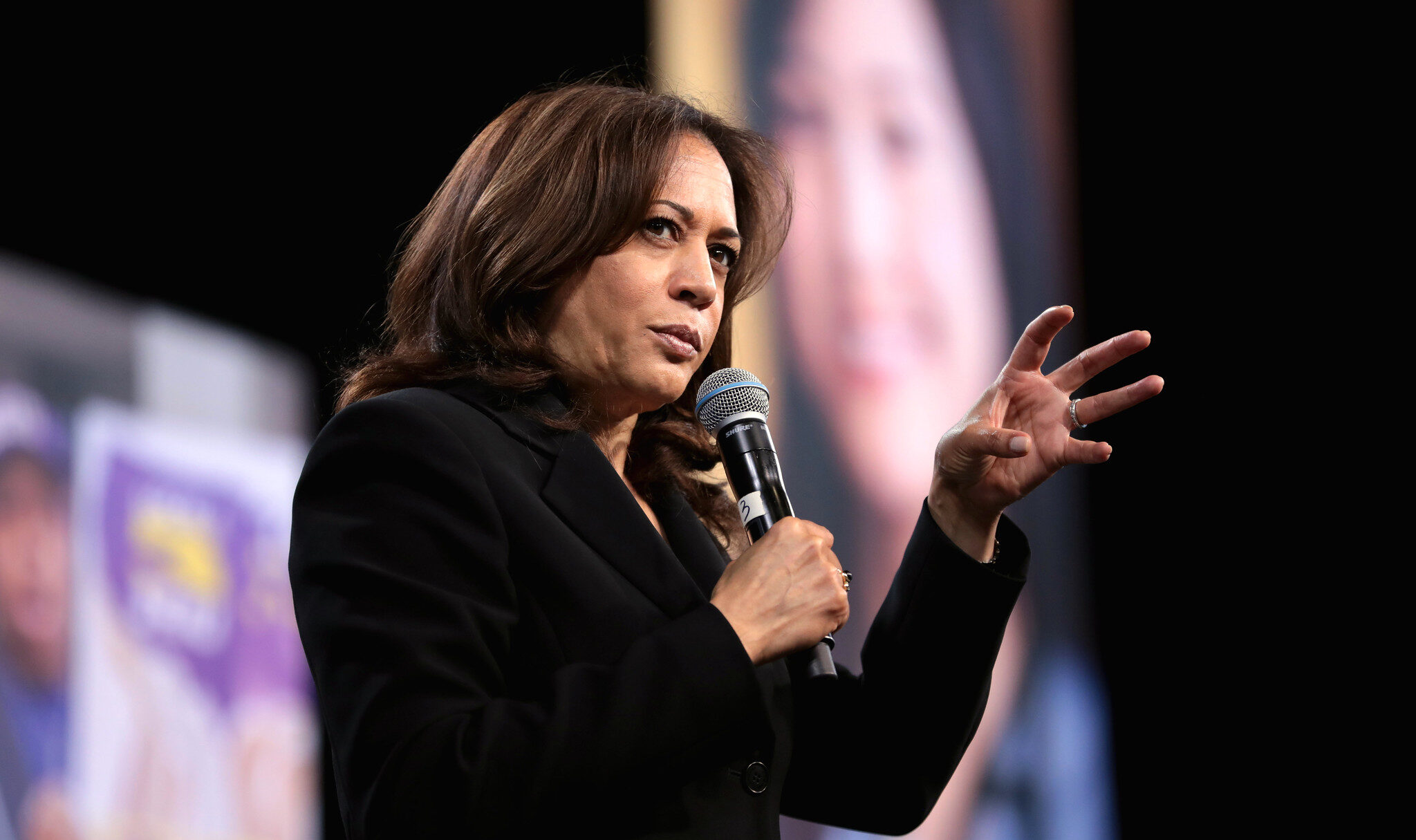 Kamala Harris Is The Real Threat To Our Constitutional Republic