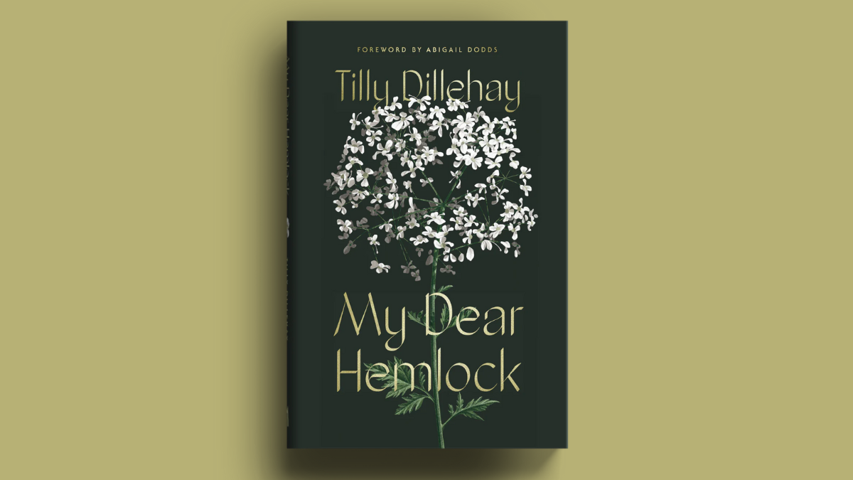 My Dear Hemlock book cover