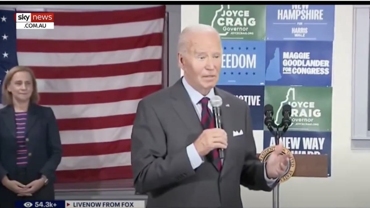 President Joe Biden speaks at a Democrat Party office in New Hampshire.