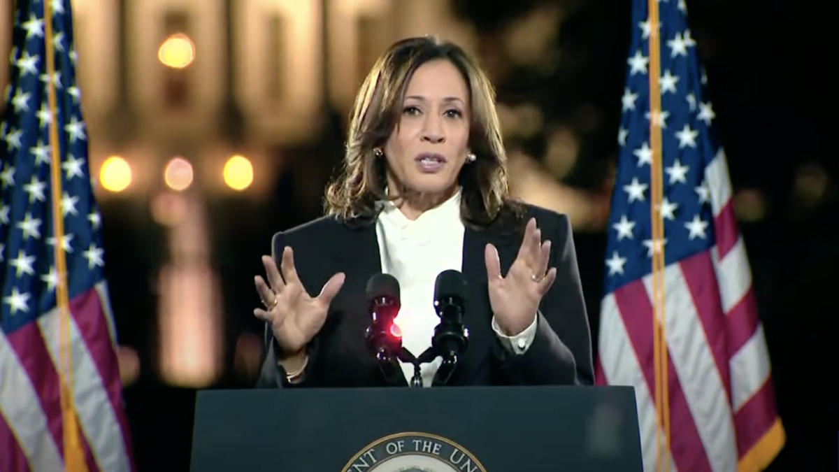 Vice President Kamala Harris delivers 'closing arguments' campaign speech near the White House.