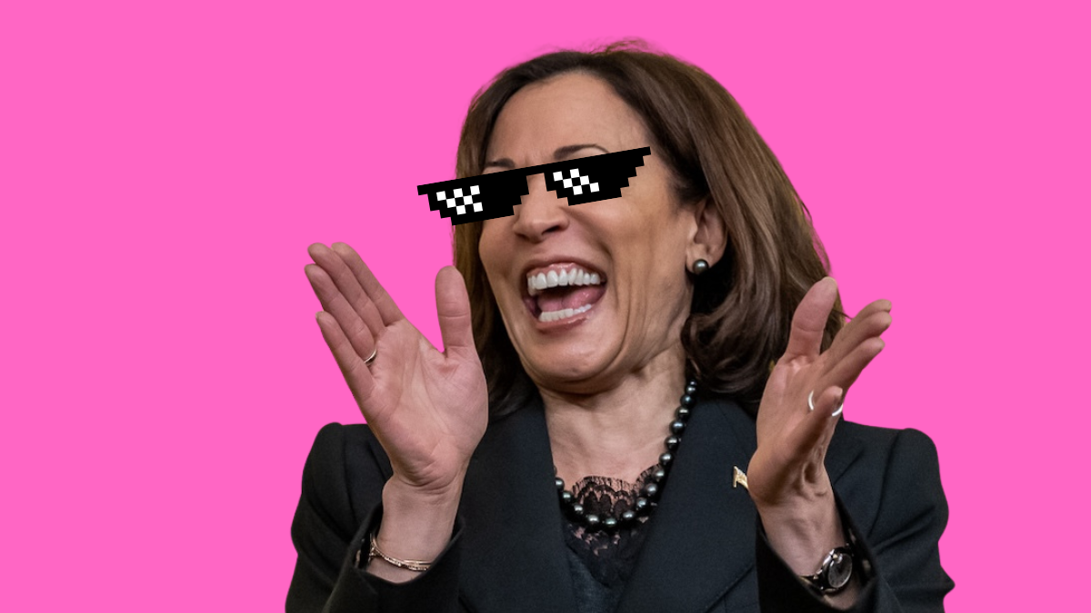 Kamala Won’t Win Gen Z Voters Like Me With Memes And Vibes