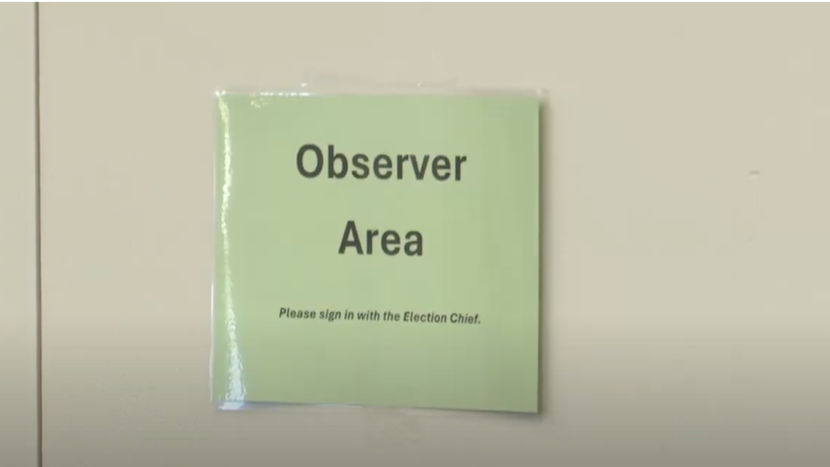 Wisconsin Poll Watcher Warns That Observers Are Being Taught To Be ‘Delicate’ On Election Integrity Issues