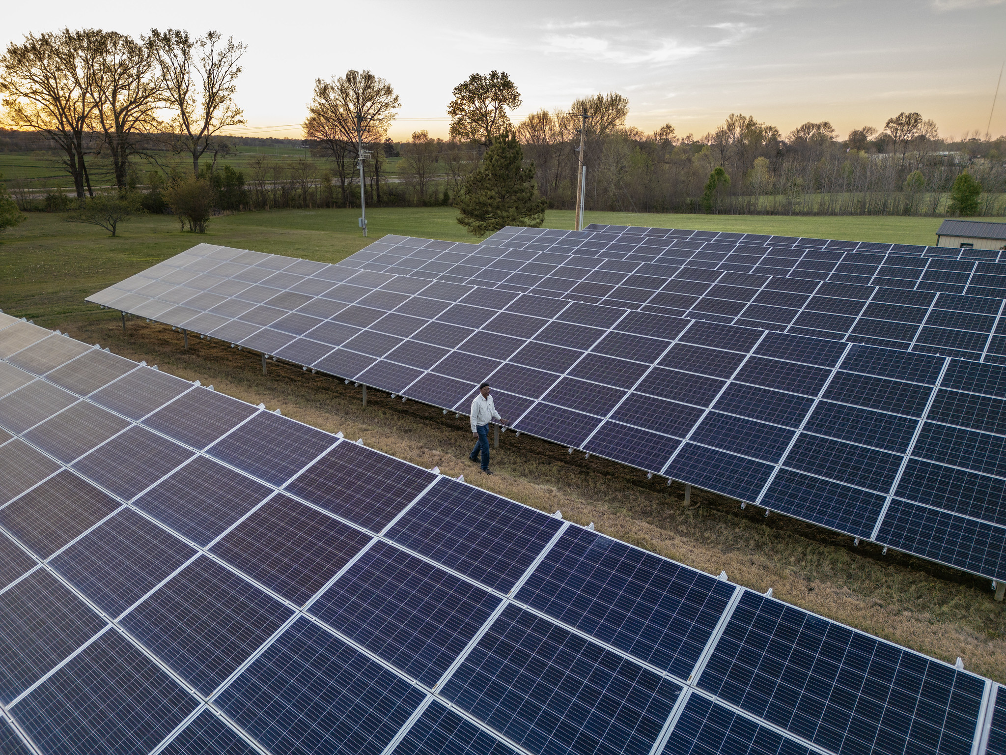 Michigan DNR Plans To Kill 420 Acres Of Forest For Solar Farm