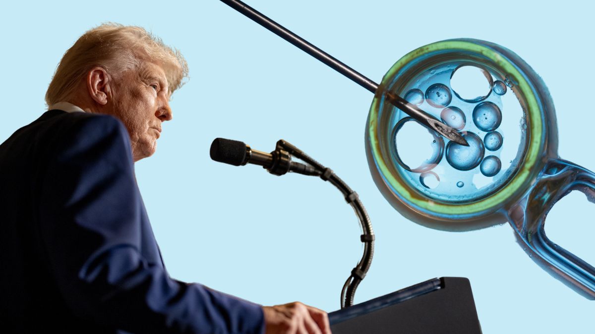 President Donald Trump and IVF