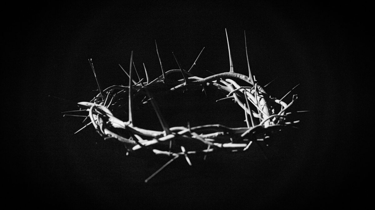 crown of thorns in black and white