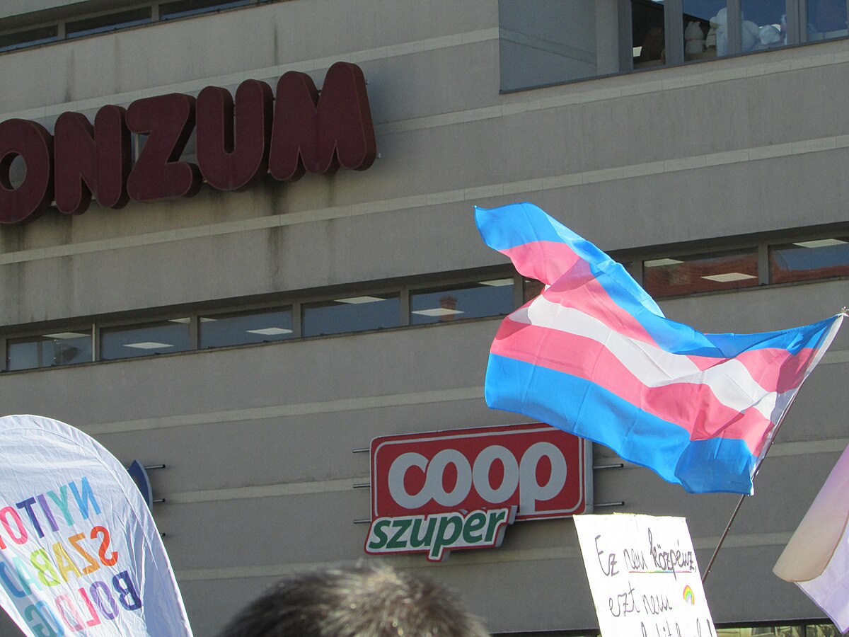 D.C. Appeals Court Upholds Trump’s ‘Trans’ Military Prohibition D.C. Appeals Court Upholds Trump’s ‘Trans’ Military Prohibition