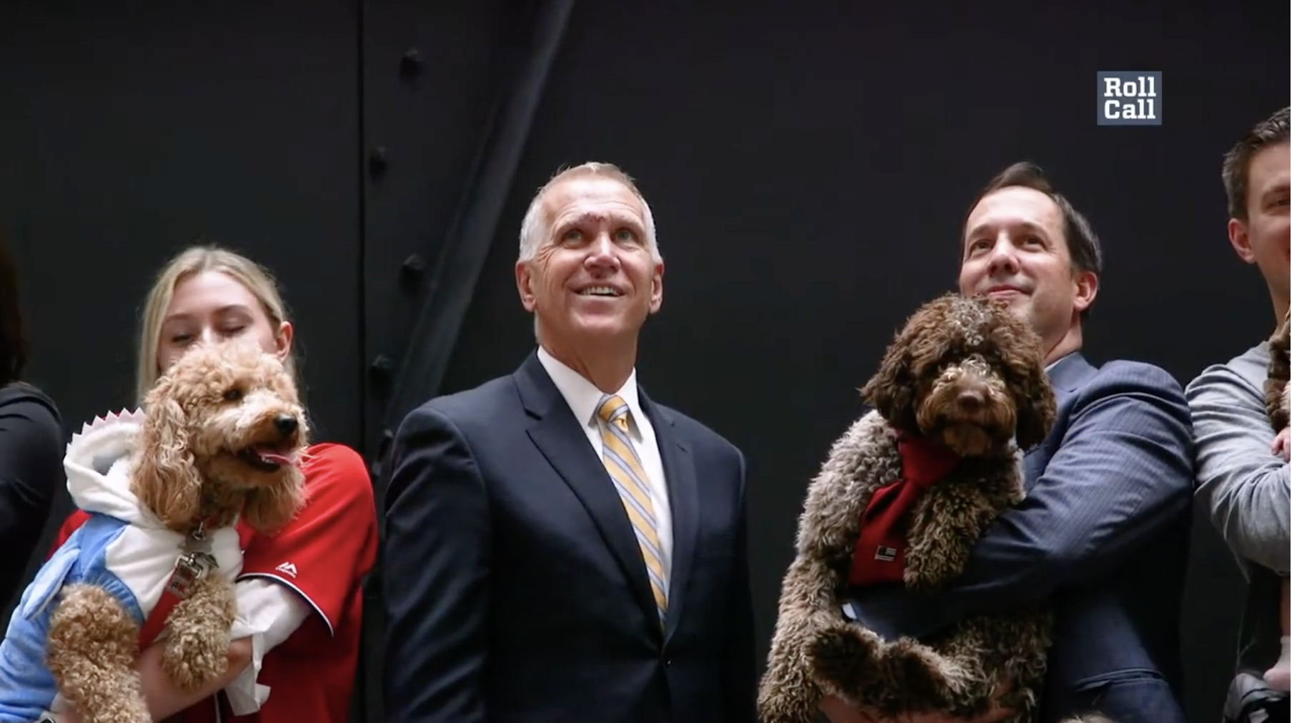 This Is Why We Can’t Have Nice Things: The Senate Goes To The Dogs