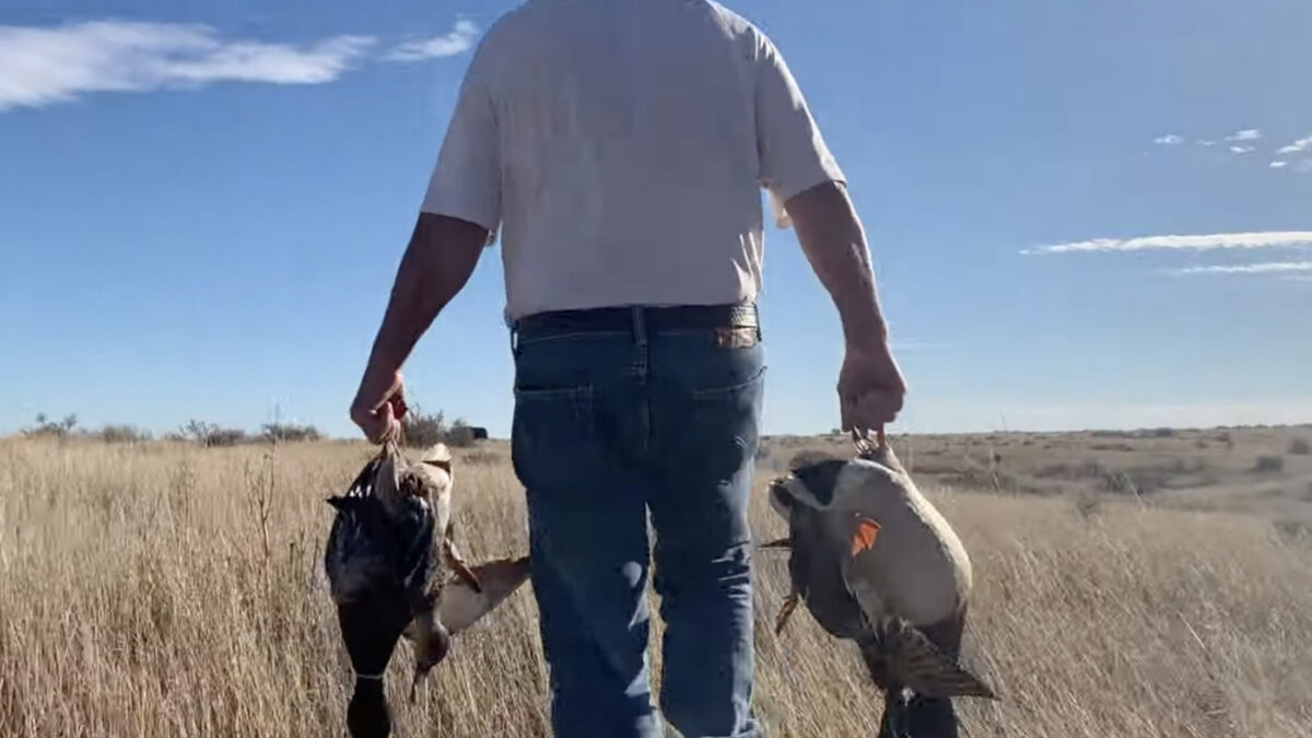 A hunter in a white t-shirt carries dead birds in each hand.