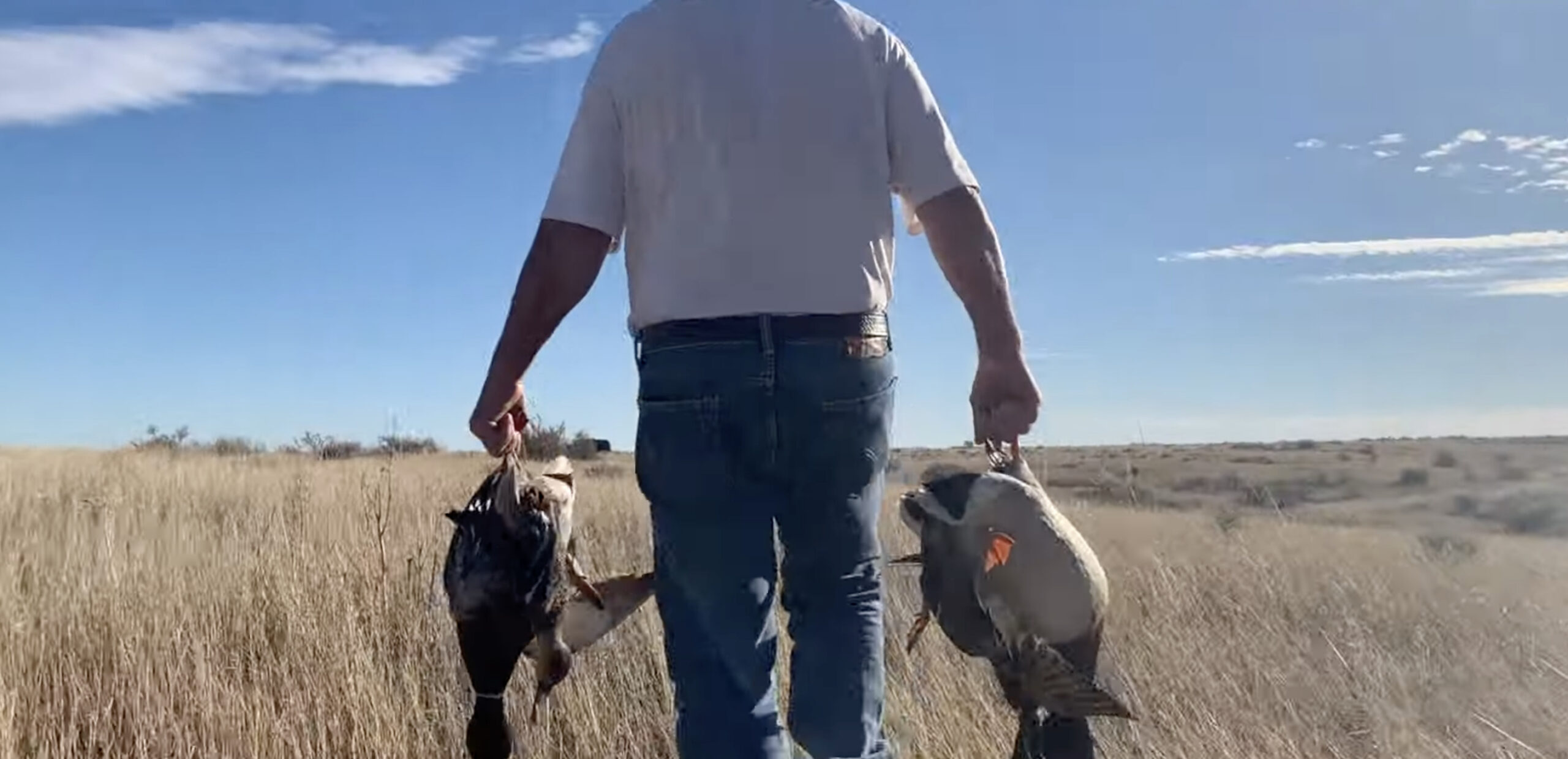 The Trump Administration Proposes A Big Expansion Of Hunting Rights On Public Lands