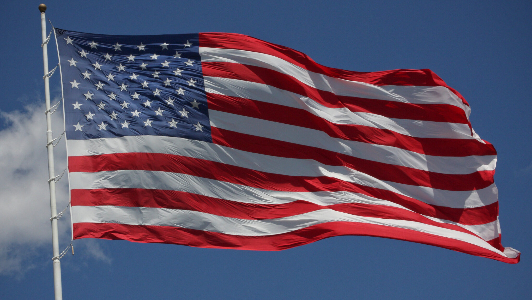 Newsweek Aghast At UFC Girls’ Star-Spangled Costumes After Defending ‘Right’ To Burn US Flag