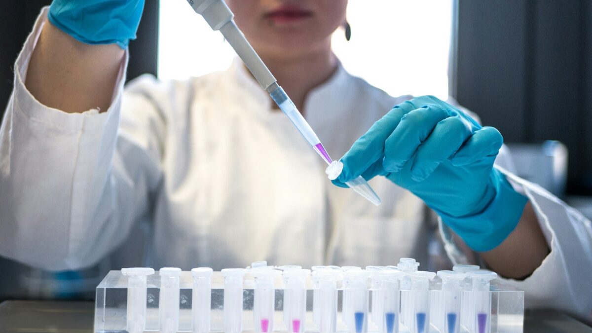 lab experiment