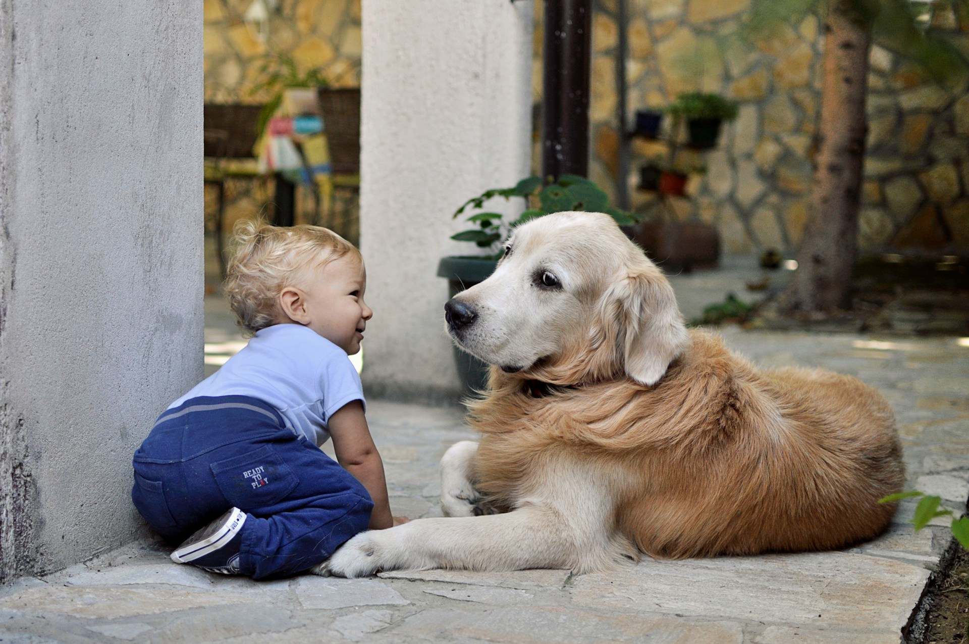 Massachusetts Won’t Let You Sell Puppies Under 8 Weeks But Lets You Abort Babies Until Birth