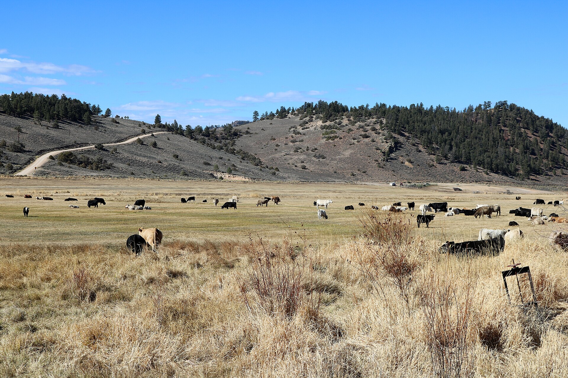 ‘Ranchers’ Backing SCOTUS Climate Suit Are Left-Wing Activists ‘Ranchers’ Backing SCOTUS Climate Suit Are Left-Wing Activists