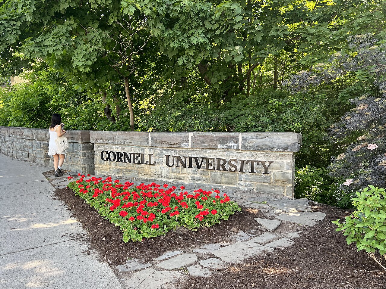 Cornell Case Exposes Consent Culture Fueling Sexual Mayhem